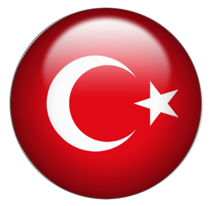 Türkçe